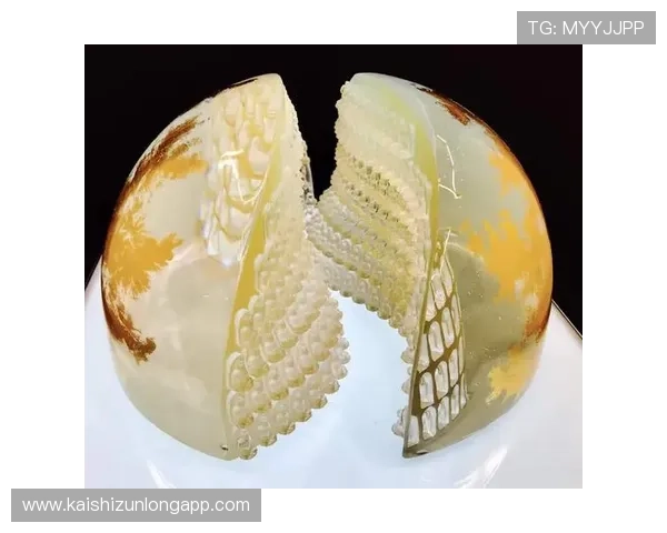 凯时尊龙人生就是博-评价：全面解析游戏玩法与玩家体验的真实反馈