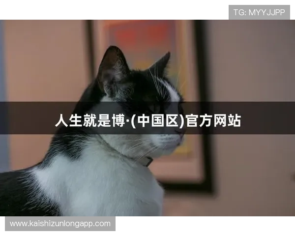 尊龙app人生就是博：游戏中的人生策略帮助你在现实中更好地规划未来